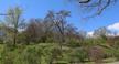 Arnold Arboretum Boston - May 6, 2014